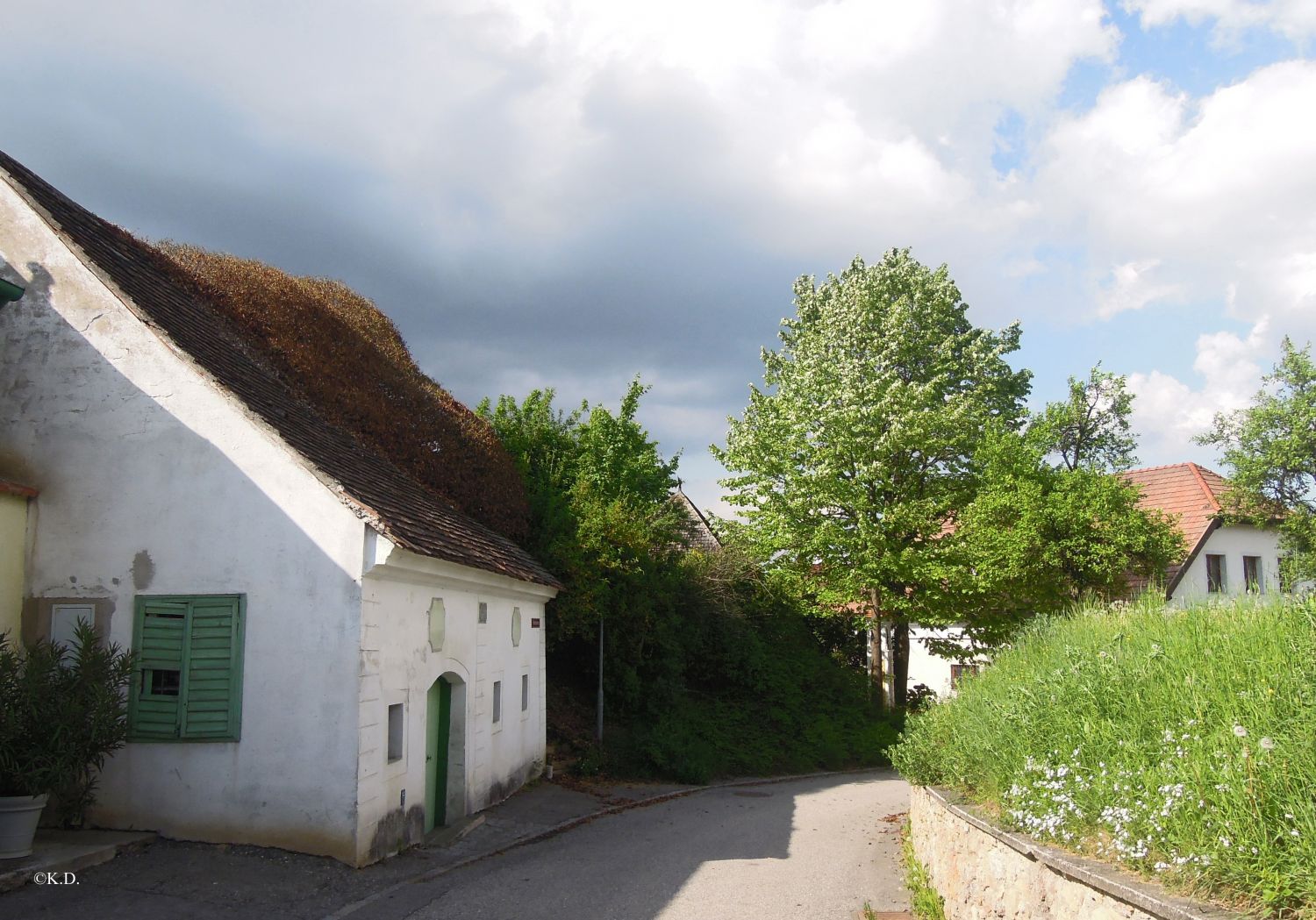 Kellergasse in Reichersdorf (NÖ)