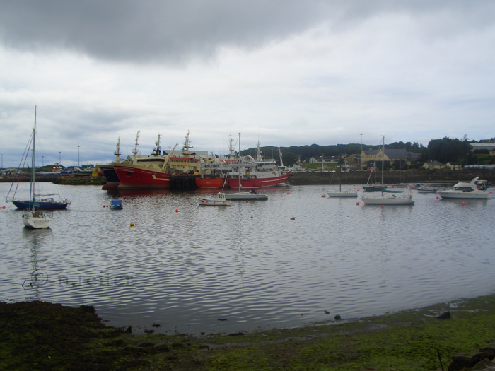 killybegs