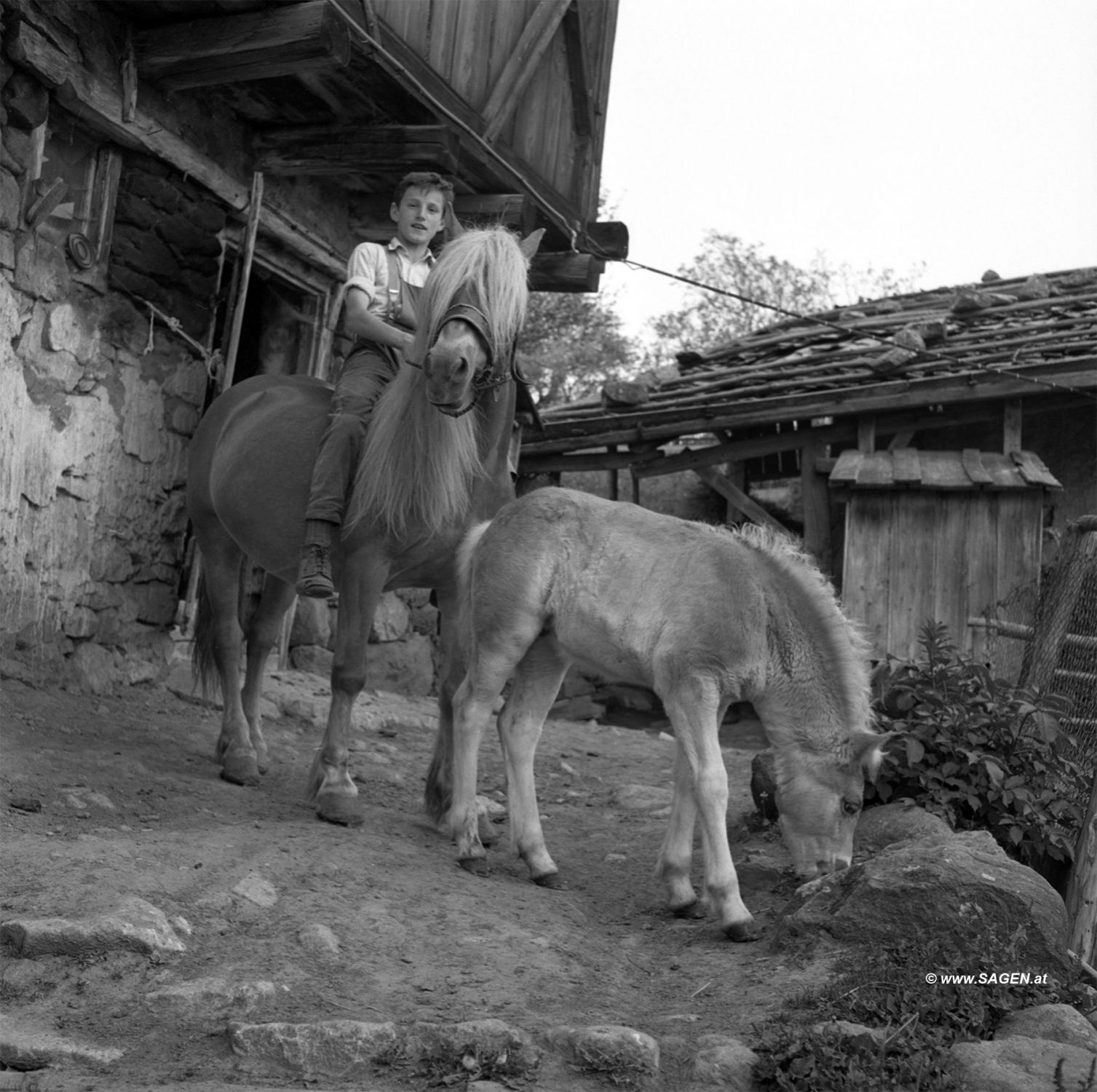 Kind Pferd Bauernhof