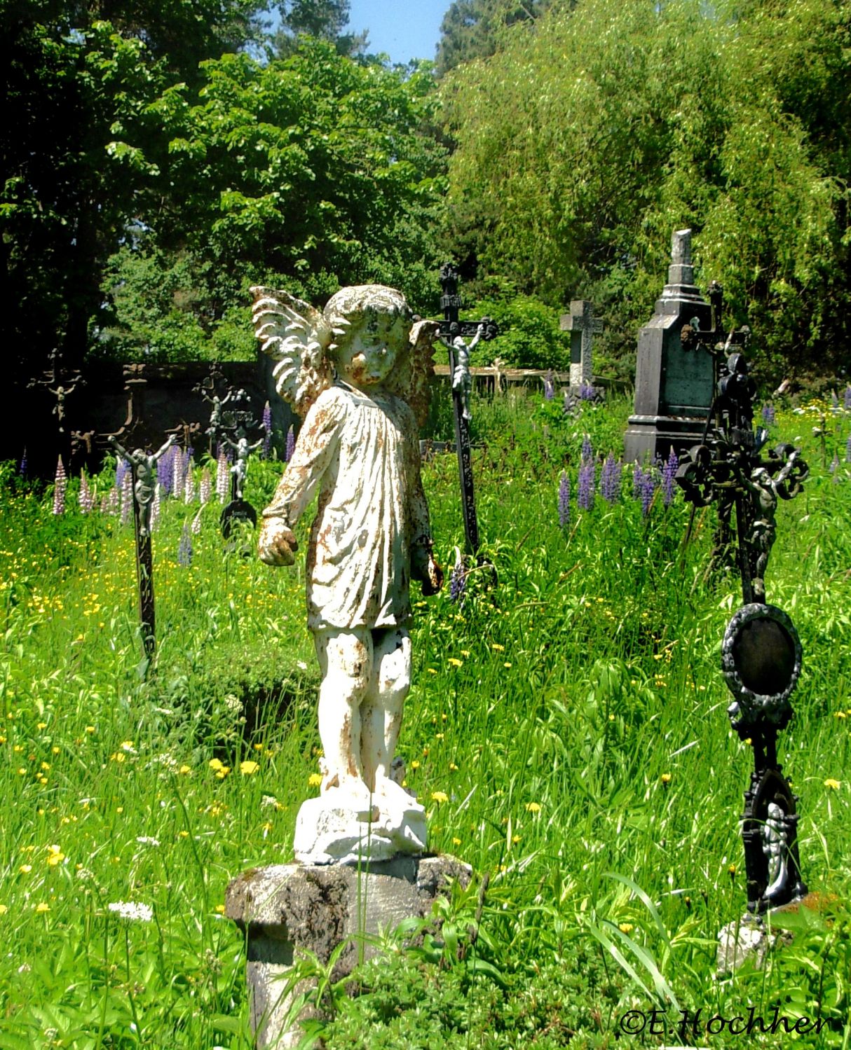 Kindergrab am Friedhof von Döllersheim