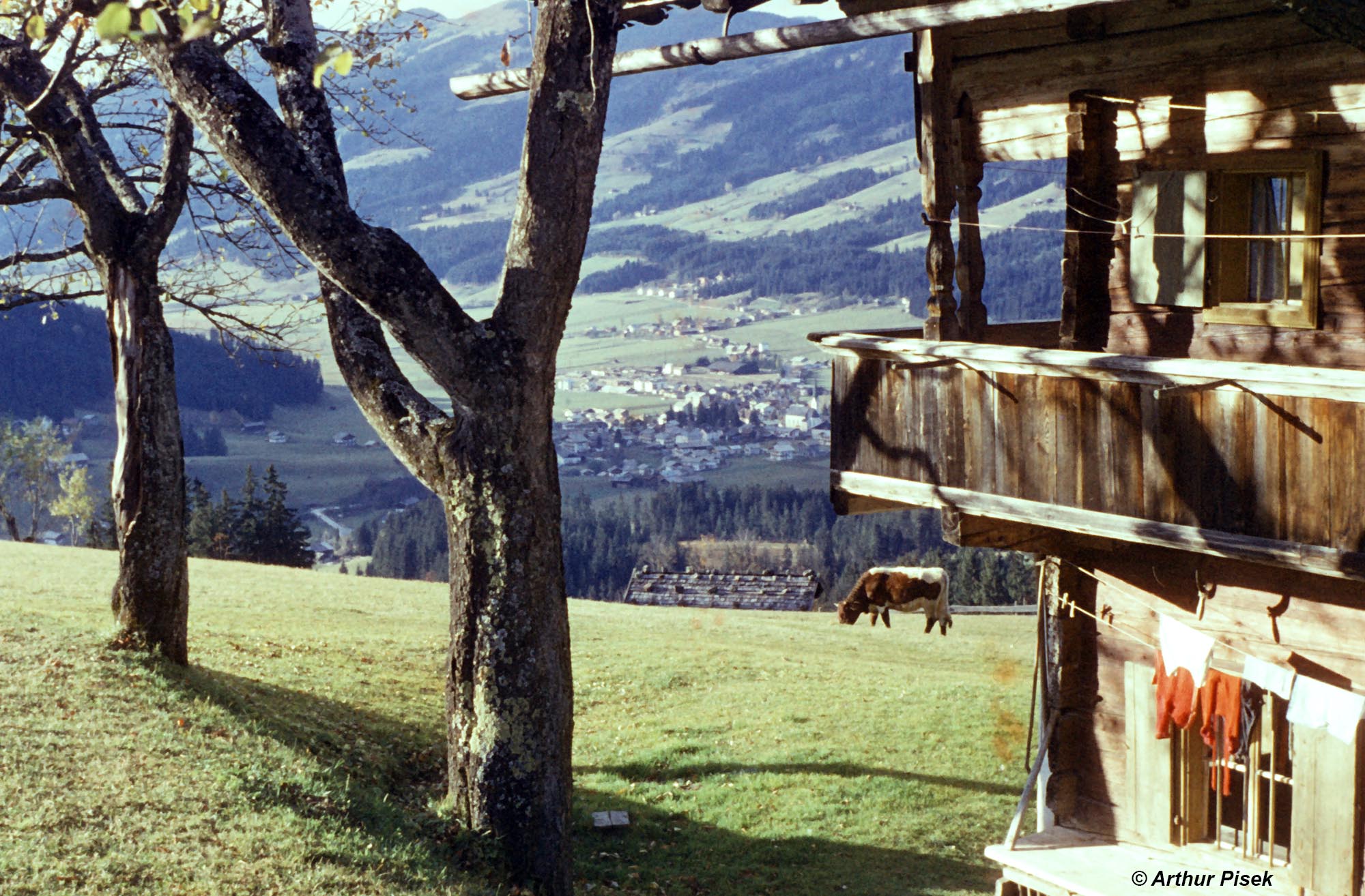 Kirchberg Tirol Bauernhöfe unterm Maierl 1959