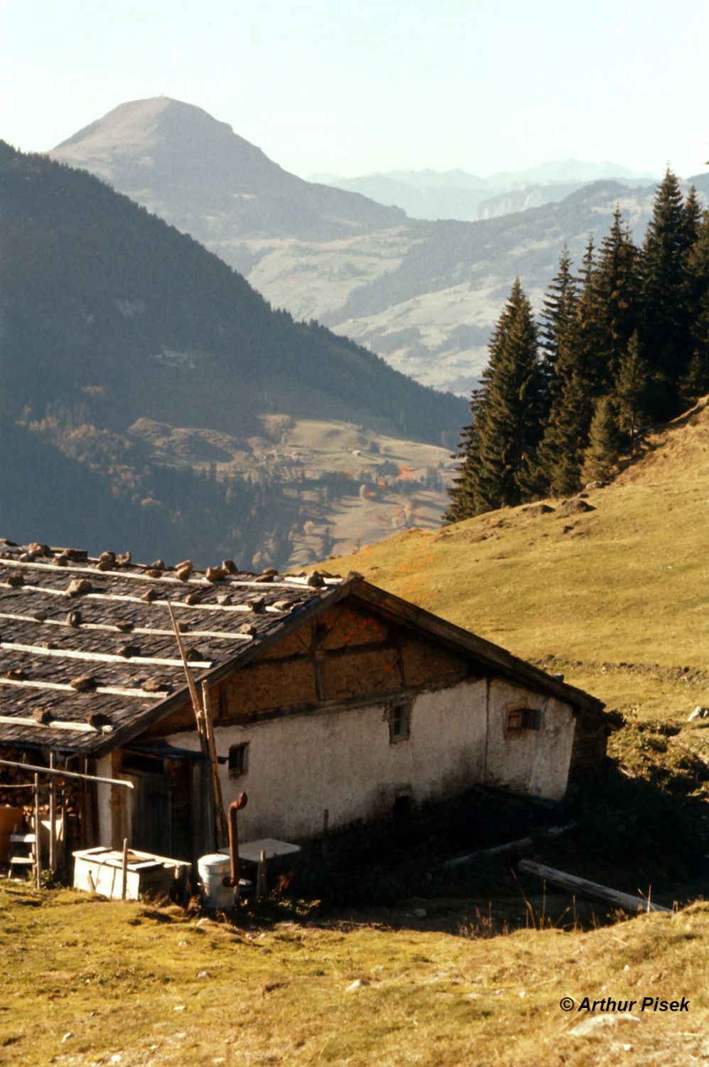 Kirchberg Tirol Unterochsenalm 1959