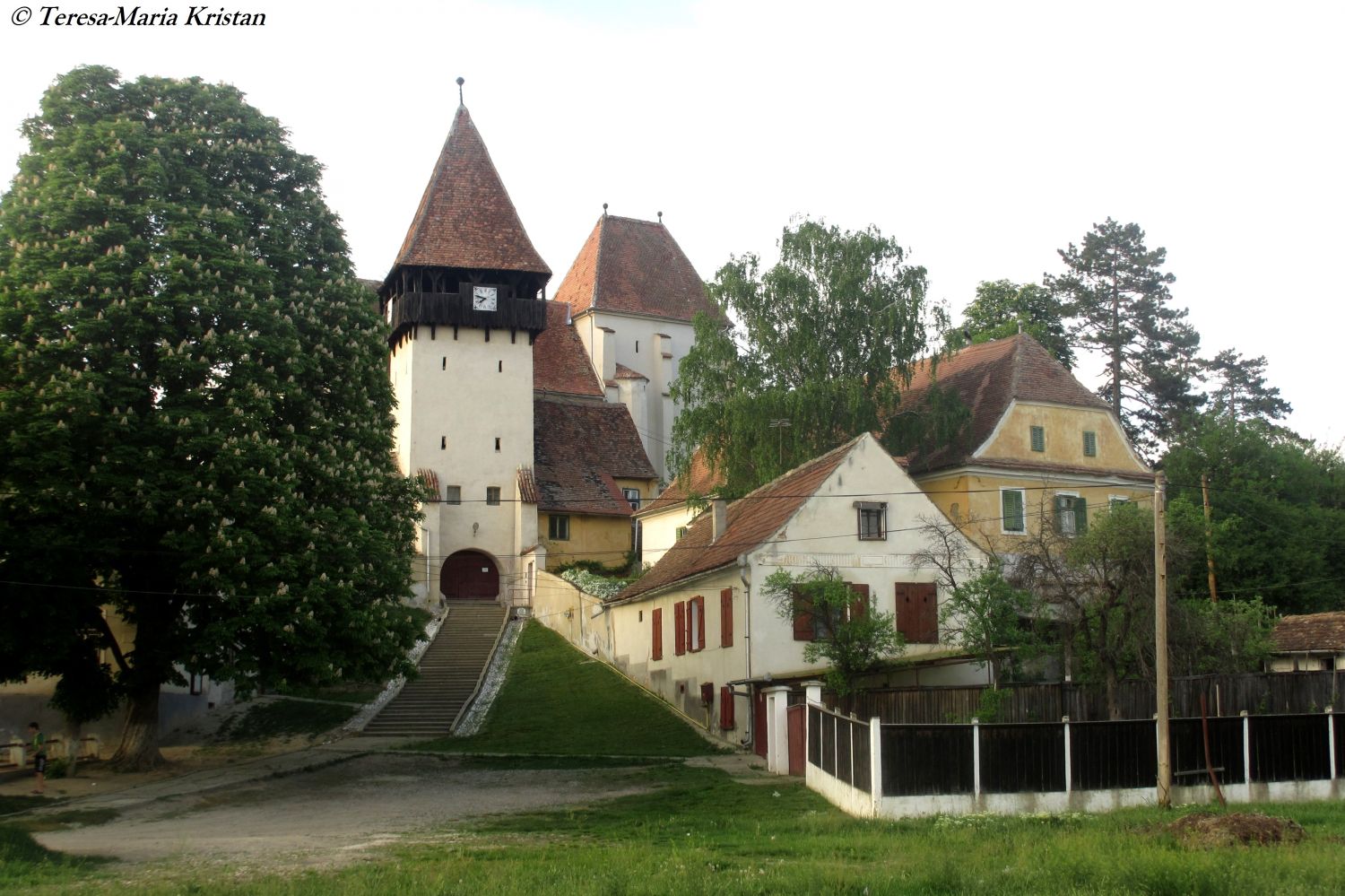 Kirchenburg, Bazna