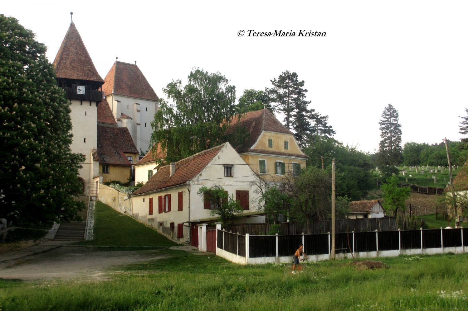 Kirchenburg, Bazna