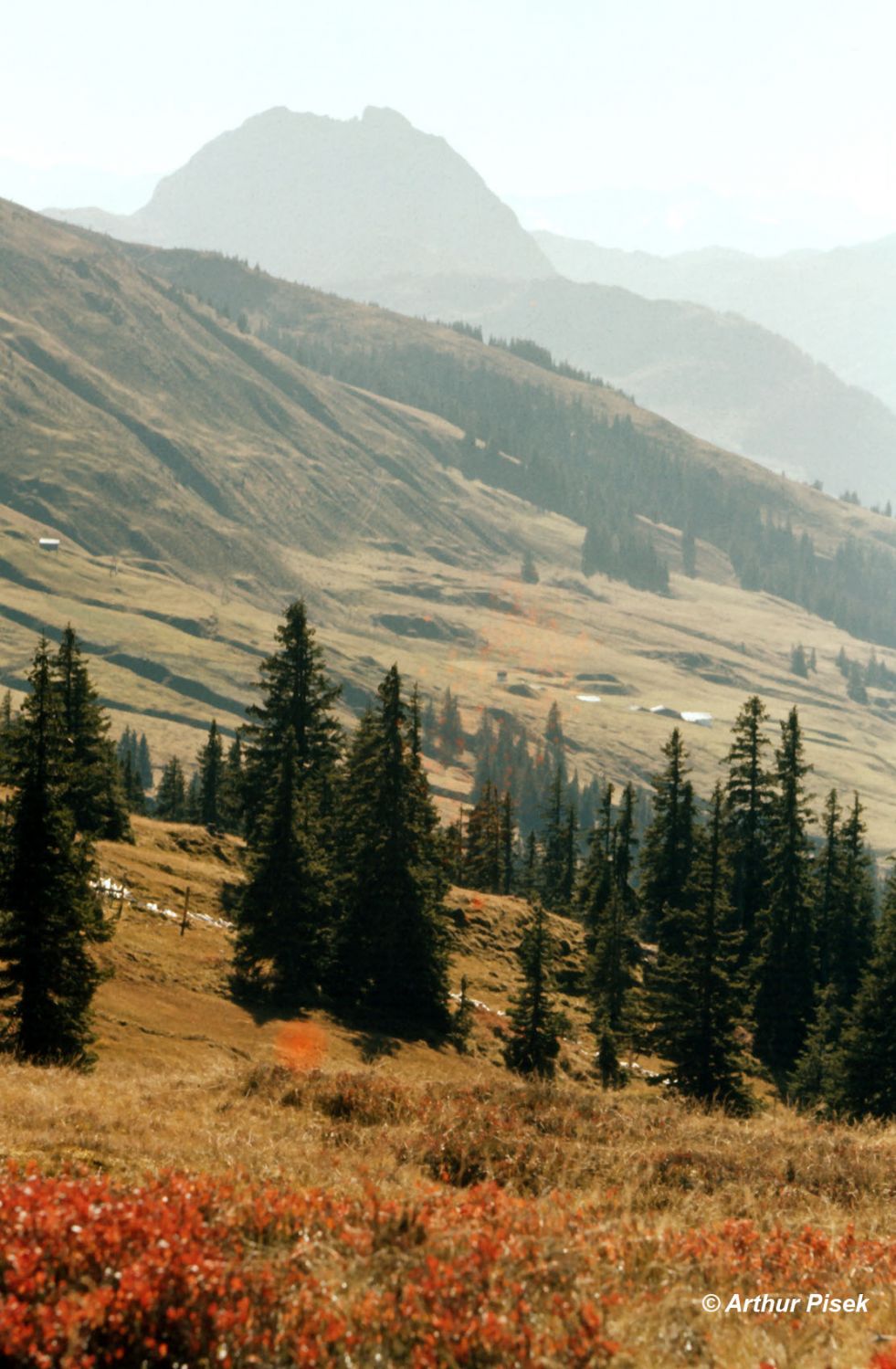 Kitzbühel Ehrenbachhöhe 1959