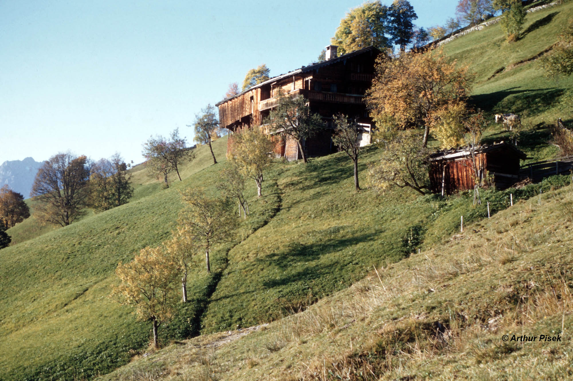 Kitzbühel Moosenhof 1957