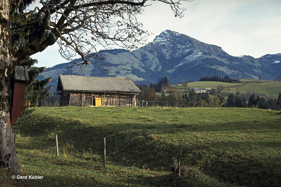 Kitzbüheler Horn 1966