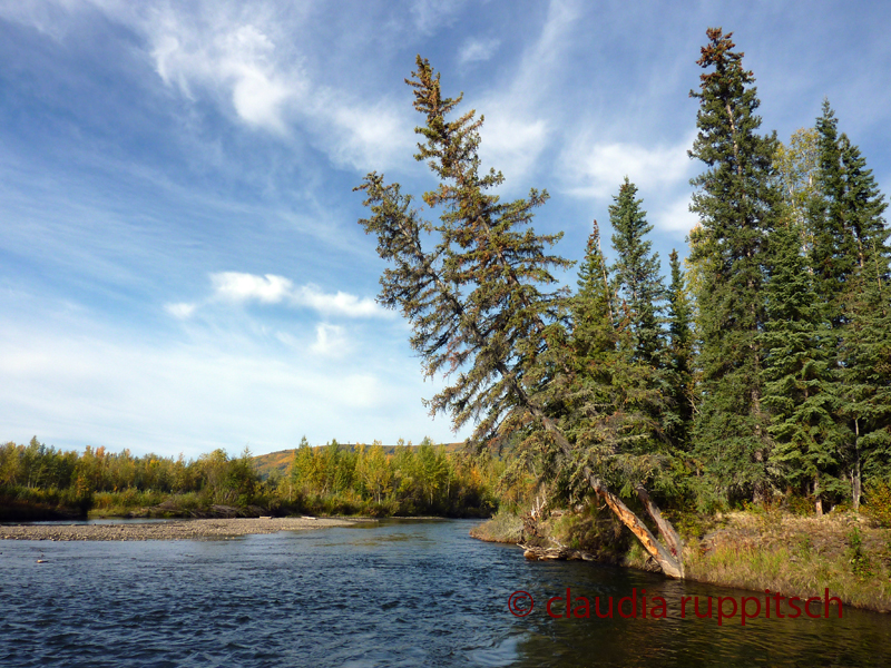 Klondike River, Canada