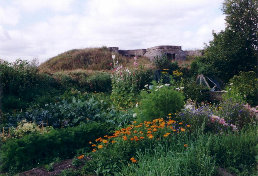 Kräutergarten auf Suomenlinna/Finnland