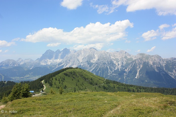 krahbergzinken