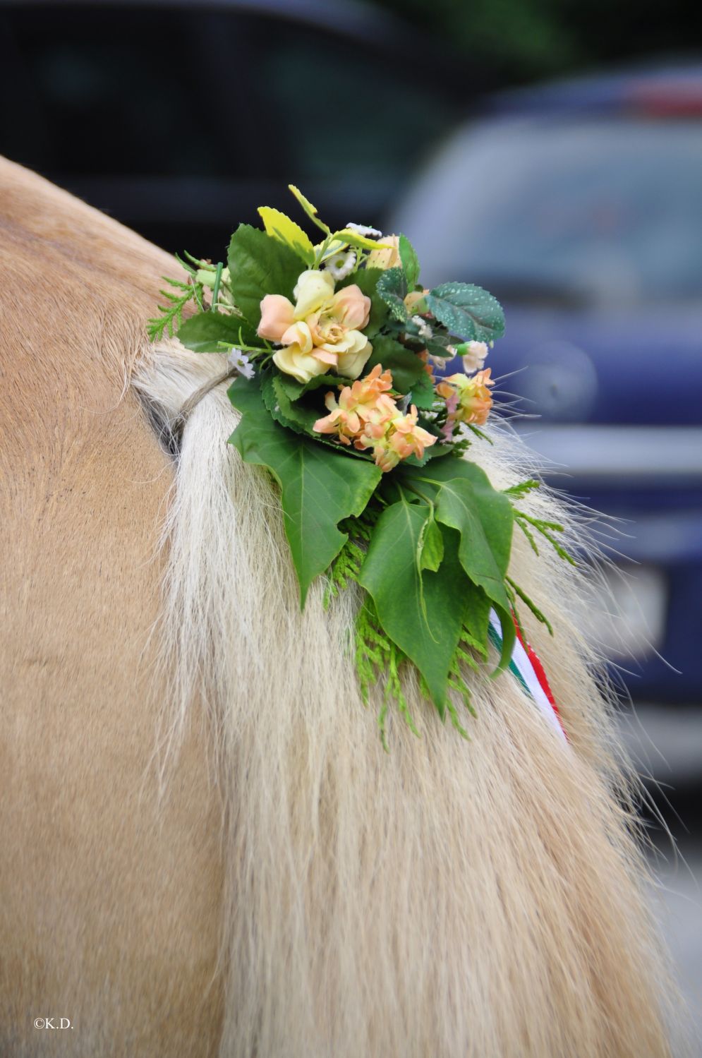 Kranzlreiten in Weitensfeld (Gurktal-Kärnten)