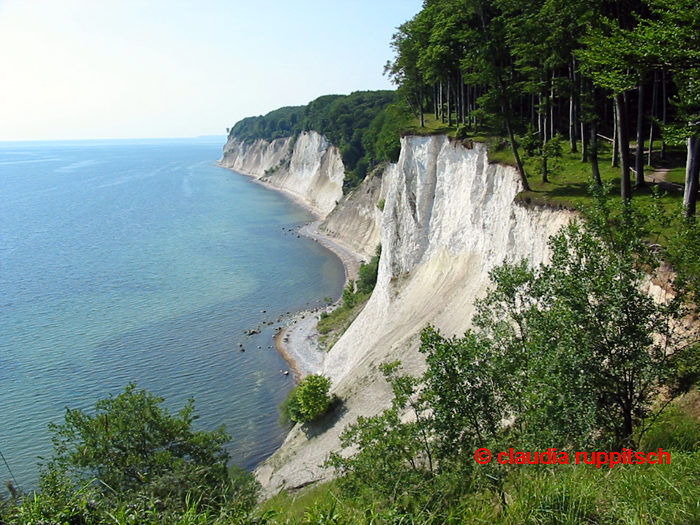 kreidefelsen-steilküste rügen