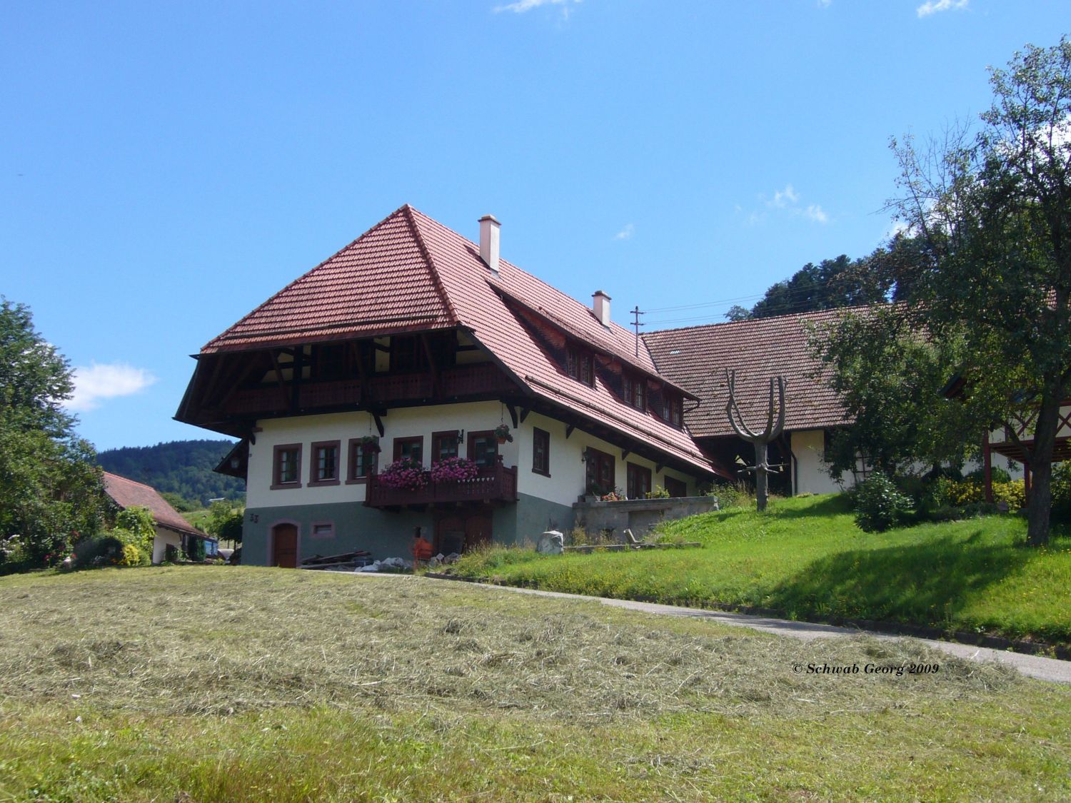 Krummholzhof in Welschensteinach