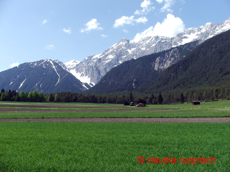 kulturlandschaft in wildermieming