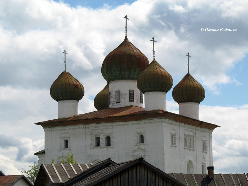 Kuppeln der Mariä-Verkündigung-Kirche (17.Jh.)