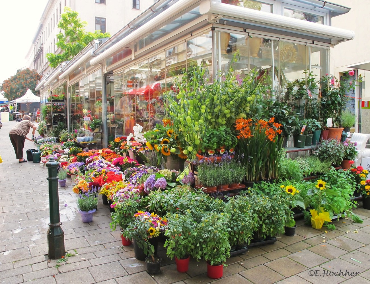 Kutschkermarkt