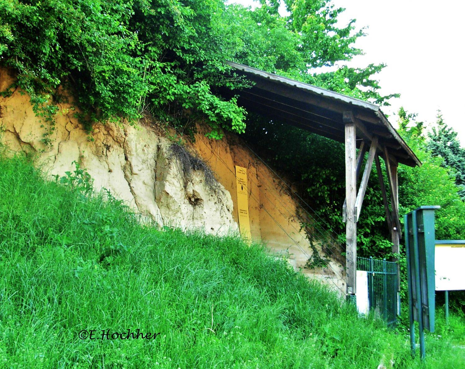 Lößwand und Fundstelle der Venus