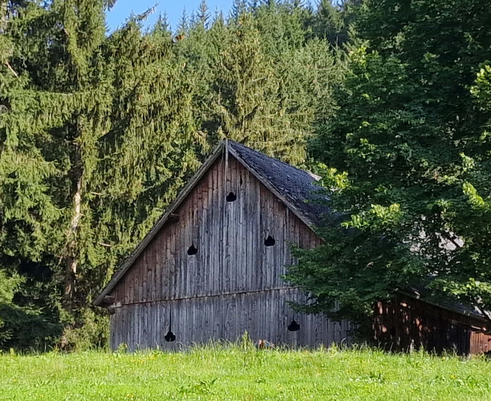 Lüftungslöcher an einem Stadel in Bruck an der Mur