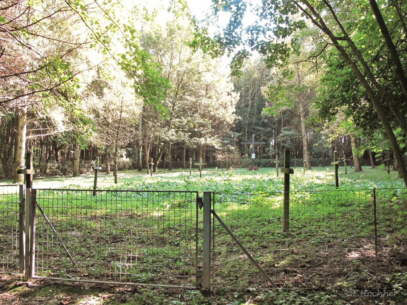 Lagerfriedhof