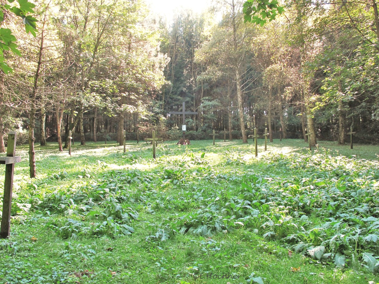 Lagerfriedhof