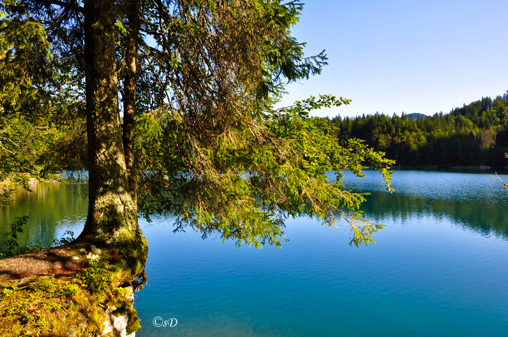 Lago di Fusine 1