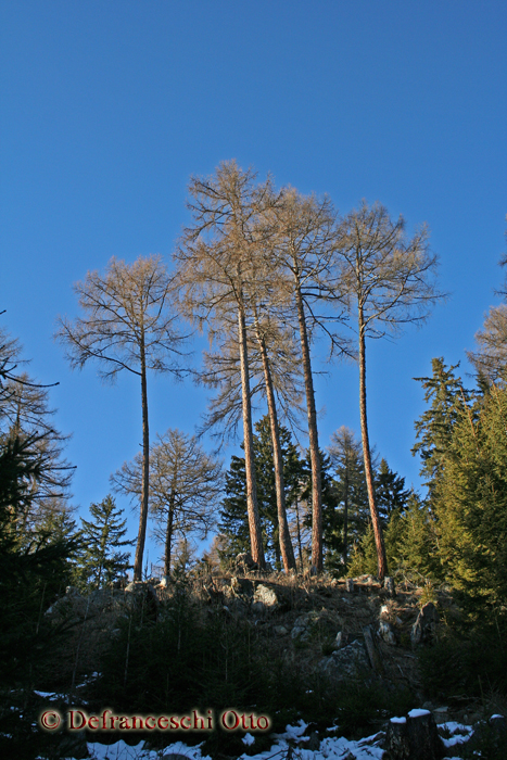 Landschaftsbild