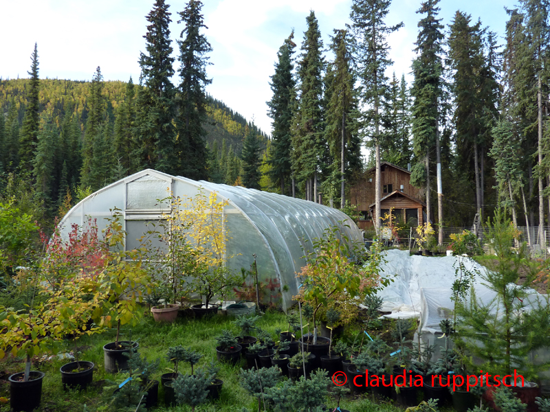 Landwirtschaft im Yukon, Canada