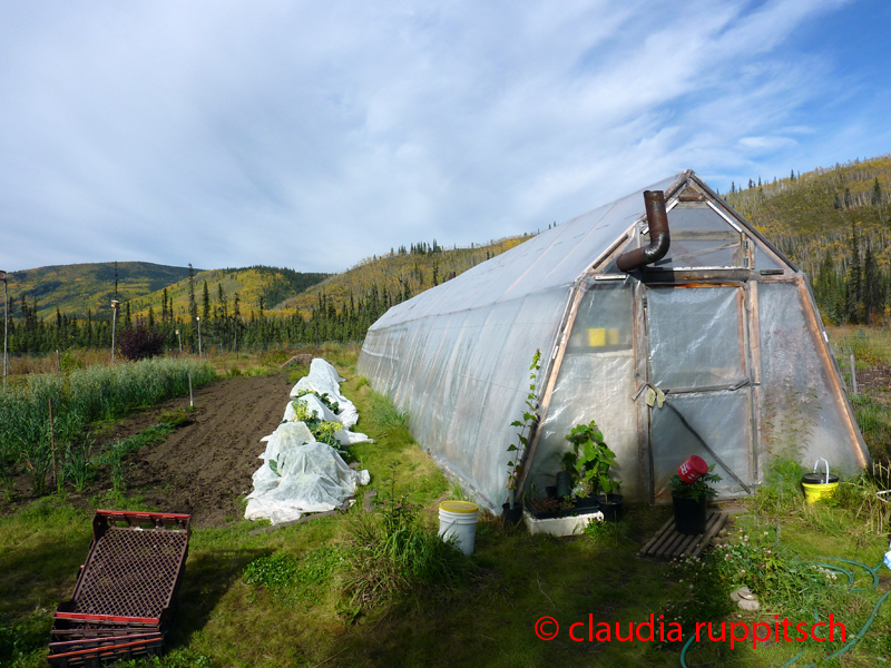 Landwirtschaft im Yukon, Canada