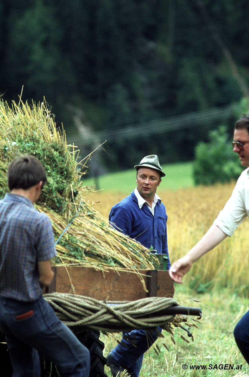 Landwirtschaft Kärnten