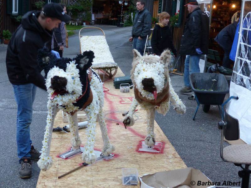 Langsam entsteht eine Skulptur - Narzissenfest Bad Aussee