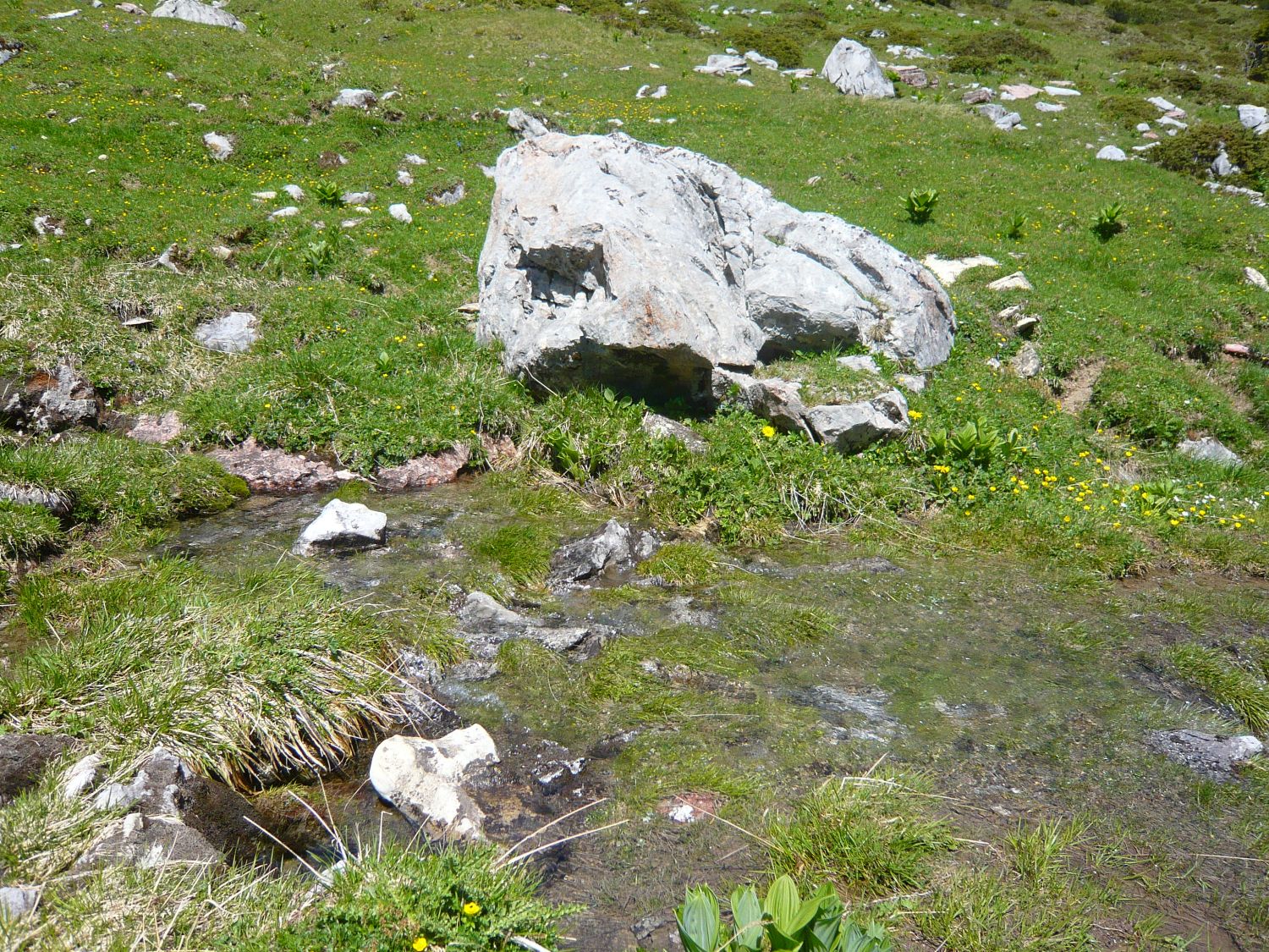 Lechquelle (bzw. des Formarinbaches