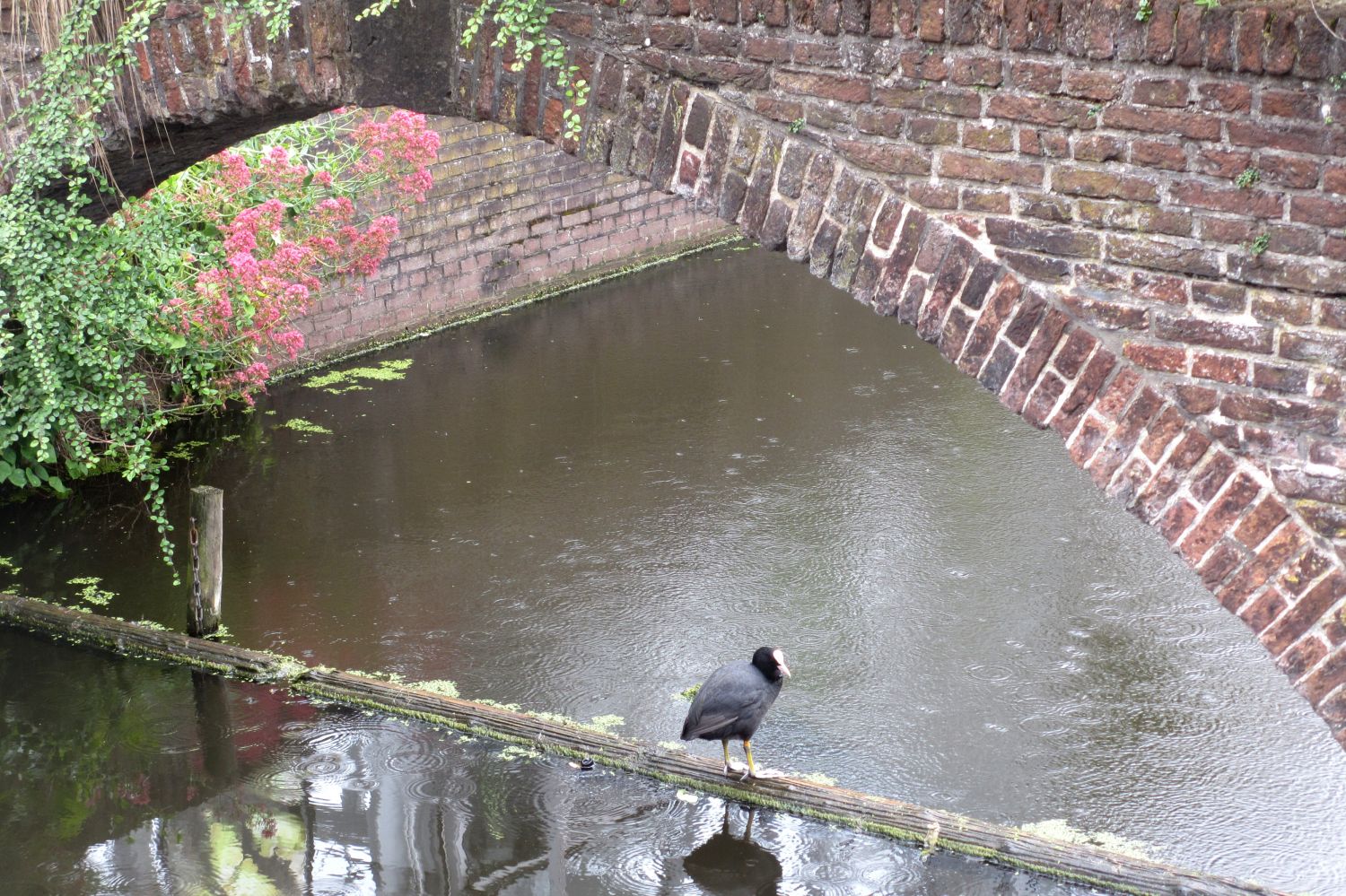 Leiden