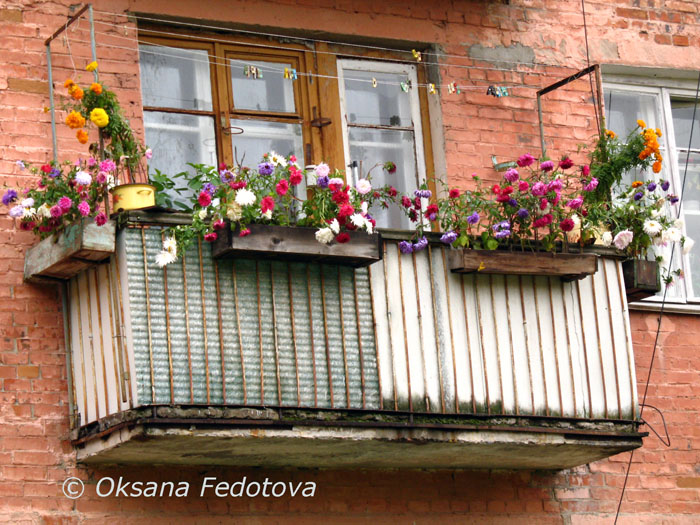 letzte Herbstblumen auf dem Balkon