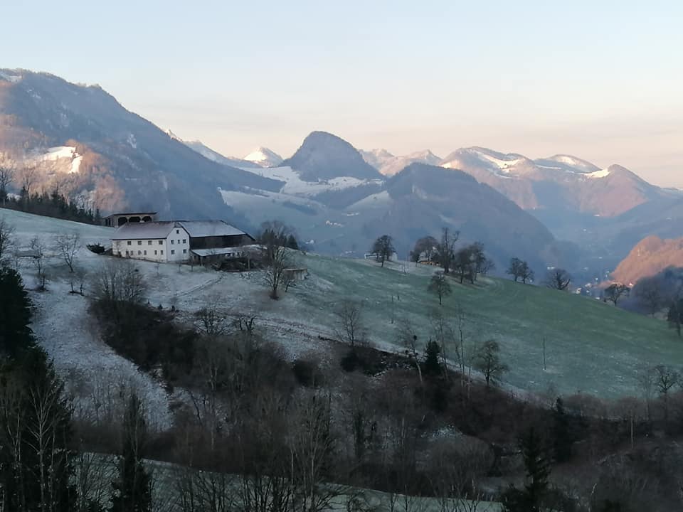 Losenstein im Winter