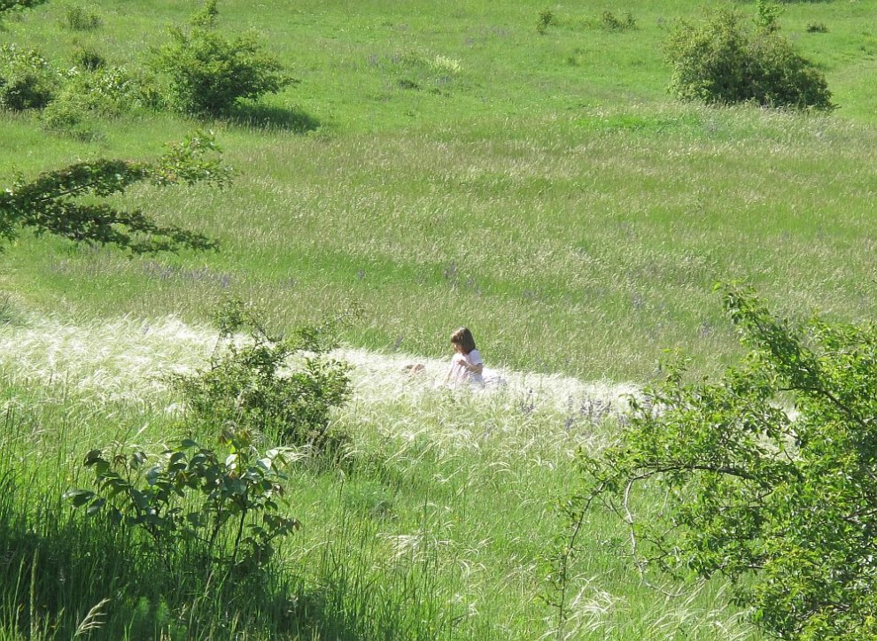 Mädchen im Federgras