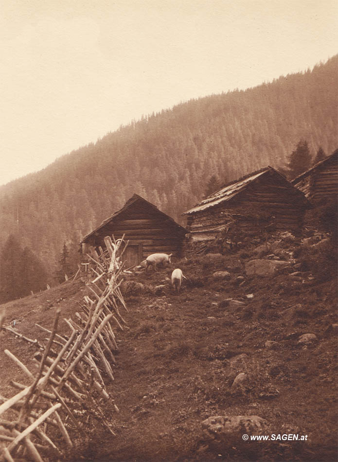 Mölltal 1929