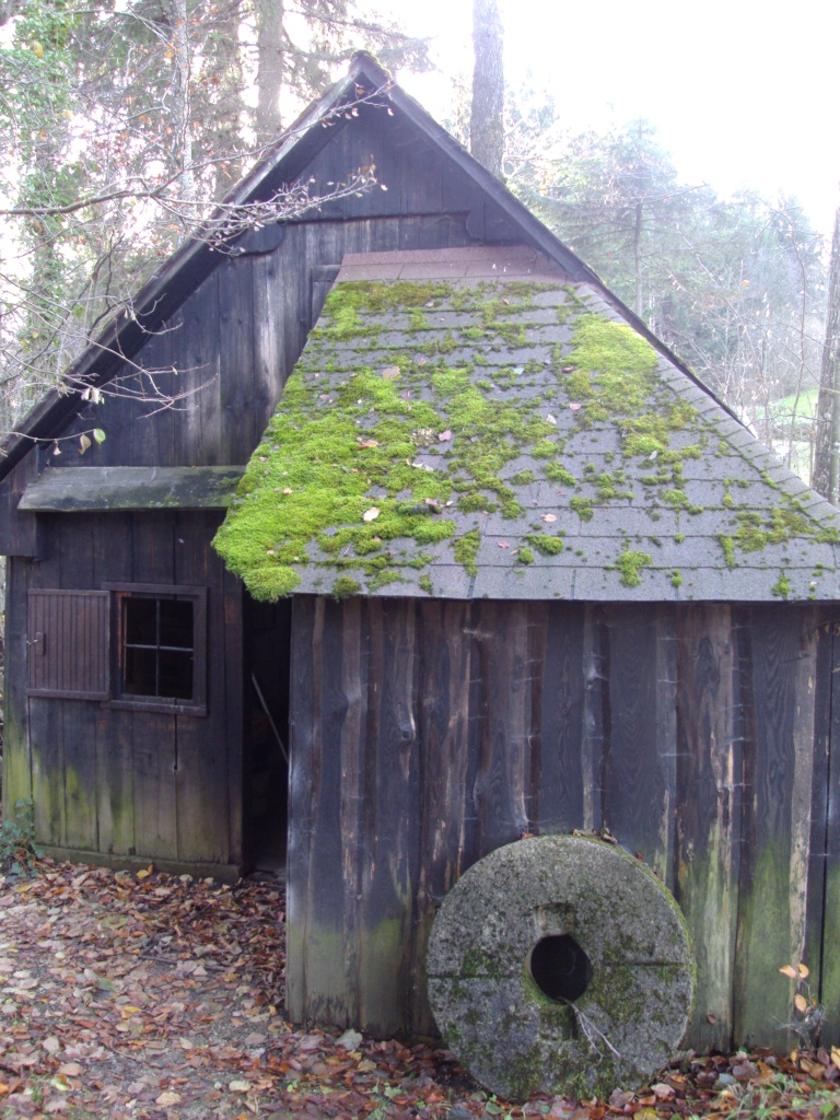 Mühle in der Nähe von Reinsberg