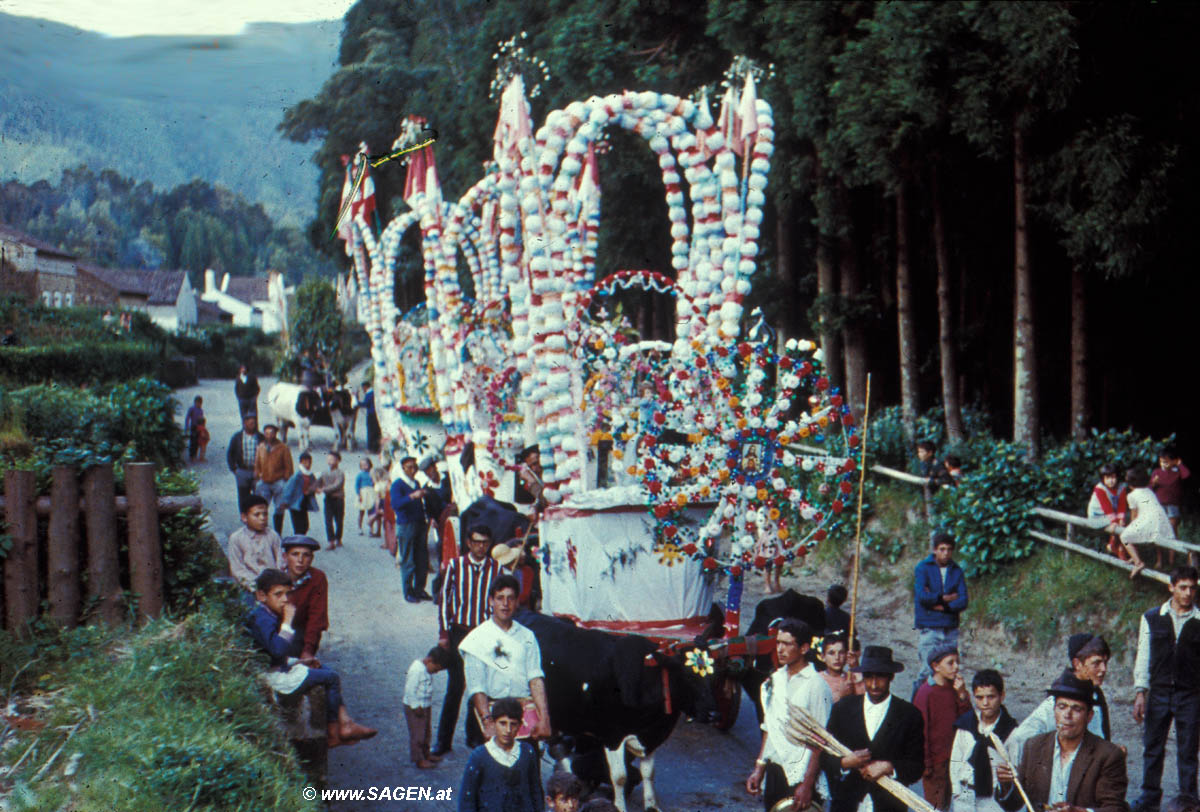 Madeira traditioneller Umzug