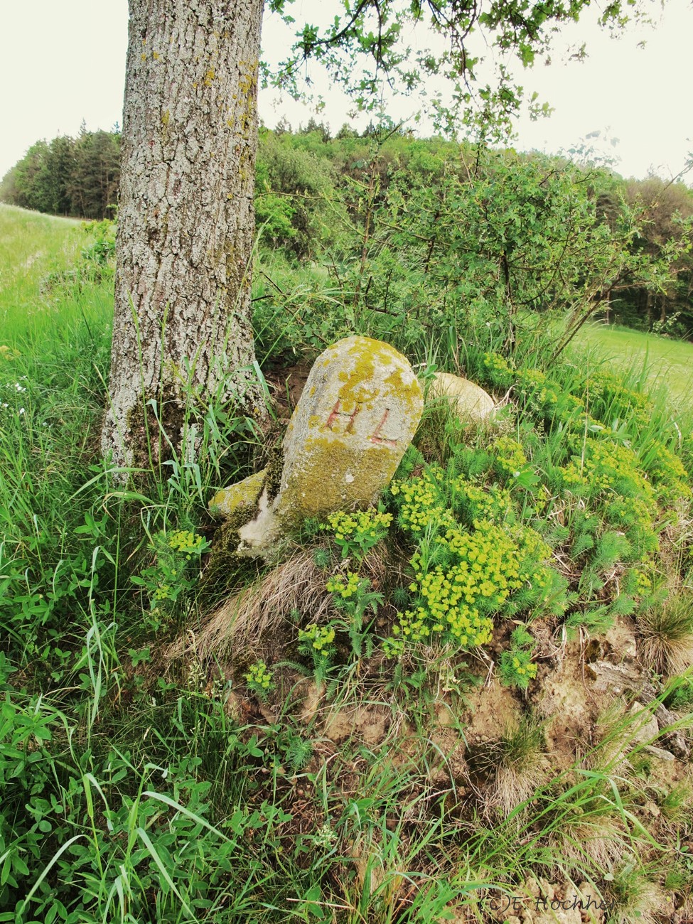 Markstein von 1844, Leiben, Niederösterreich