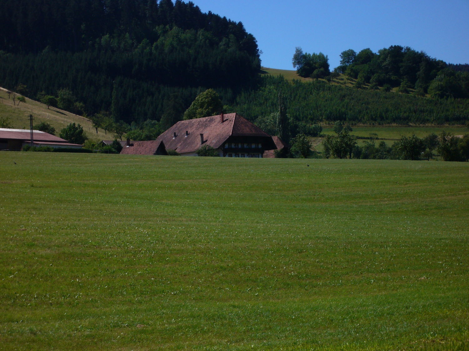 Mattenbauernhof_in_Welschensteinach_16_07_06