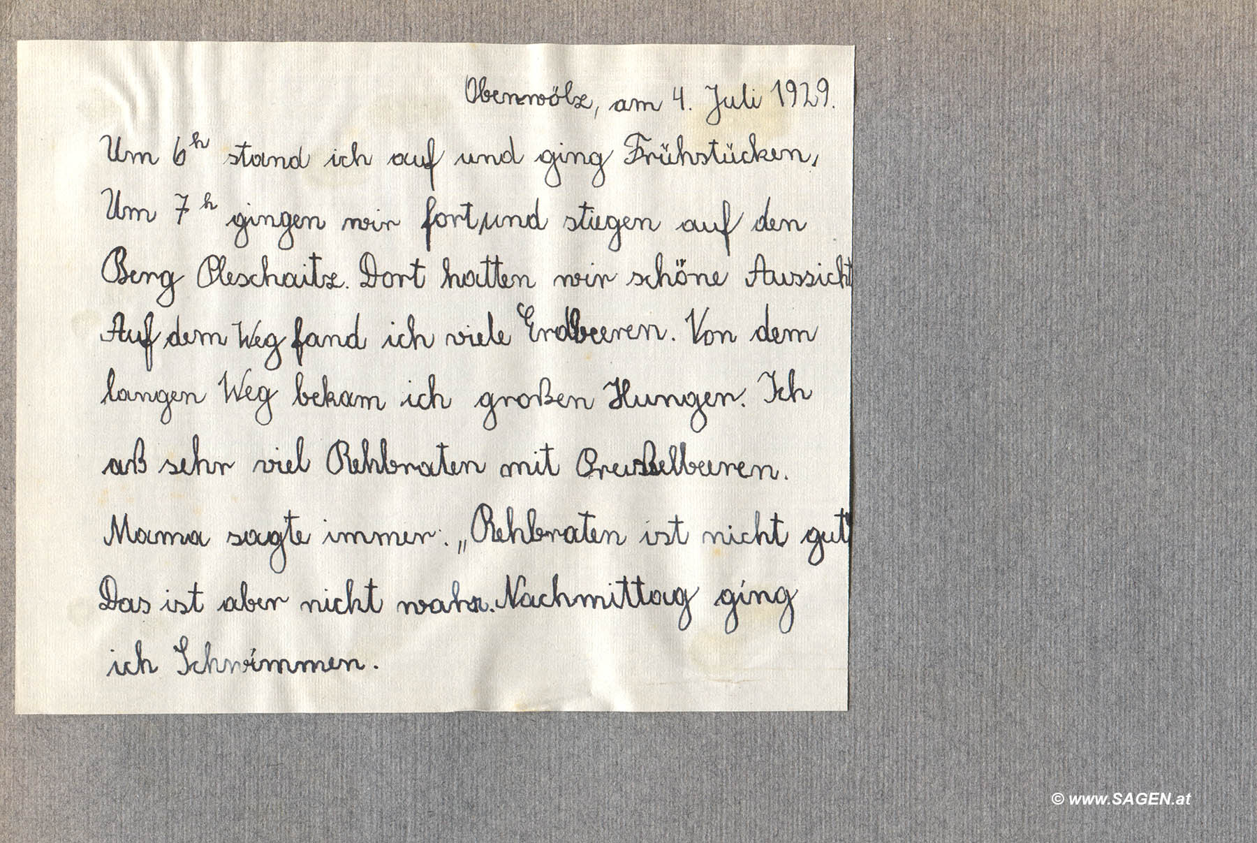 Mein Sommer 1929 - Fotoalbum und Tagebuch