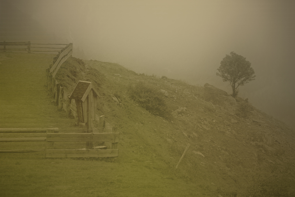 Mitten im Nebel