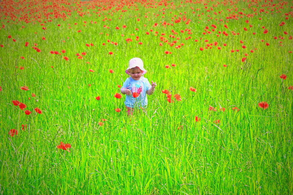 Mohn-KInd