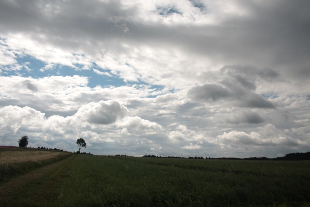 Mohndorf Armschlag im Waldviertel