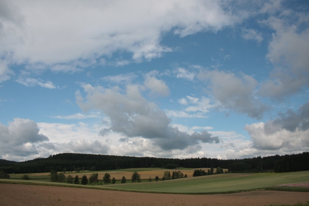 Mohndorf Armschlag im Waldviertel