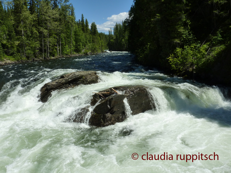 Murtle River, Wells Gray Park (BC, Canada)