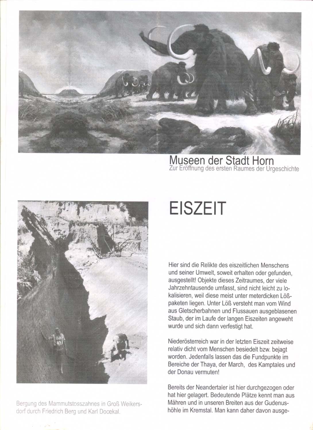 Museen der Stadt Horn - Eiszeitraum