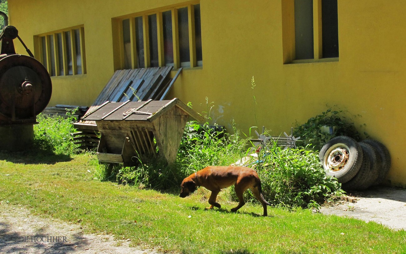 Museumswächter im Feld-und Industriebahn-Museum in Freiland, Niederösterreich