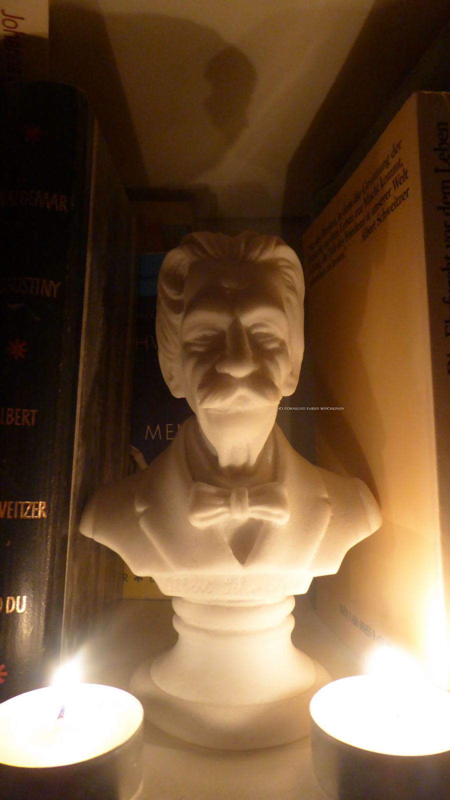 Nachträglich zum Geburtstag des Herrn Ludwig Philipp Albert Schweitzer