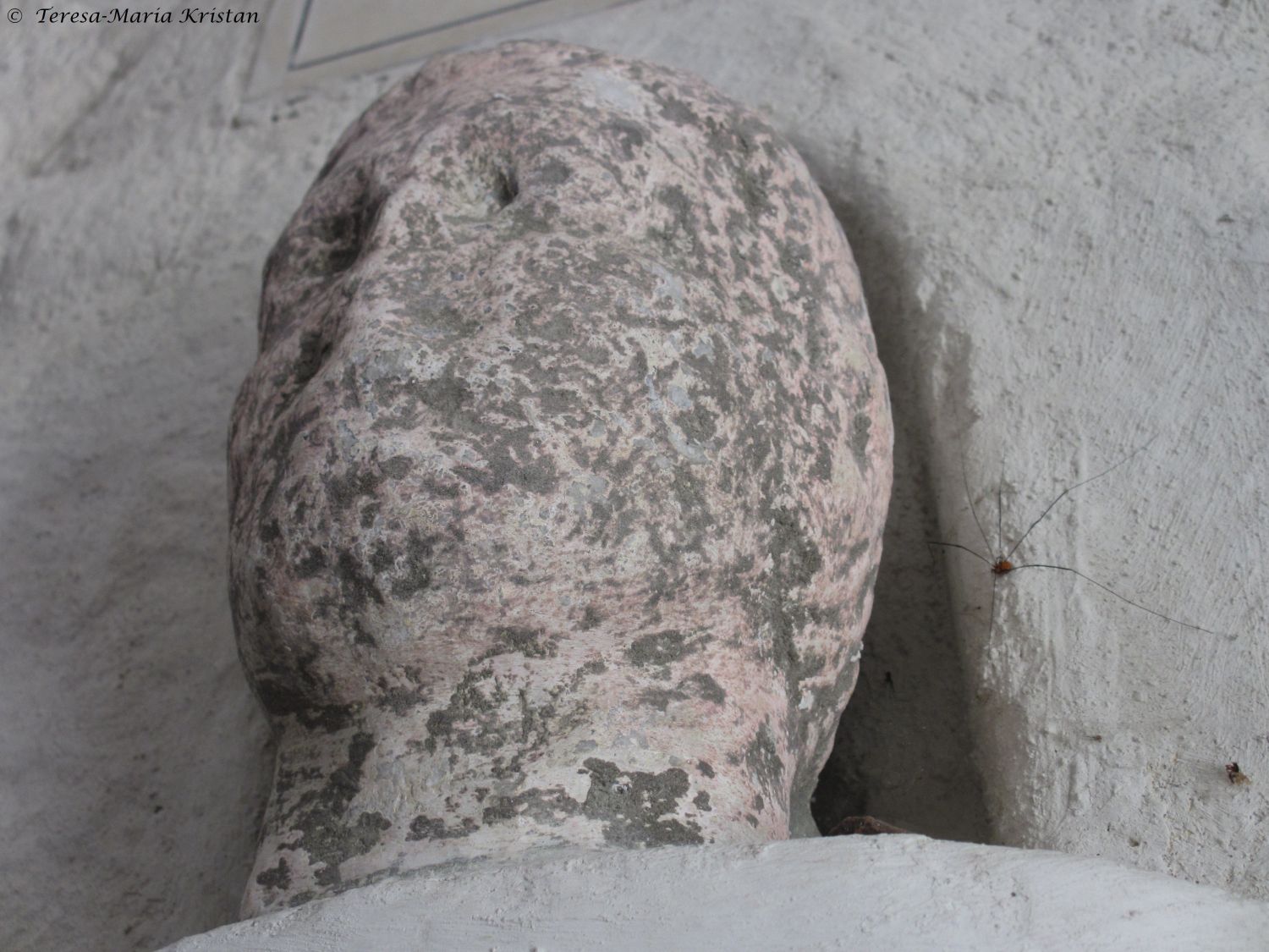 Nahaufnahme Römerkopf, Johannesbergkapelle Traunkirchen